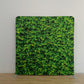 Floral plants 8x8 event backdrop rental by Snap&Fun